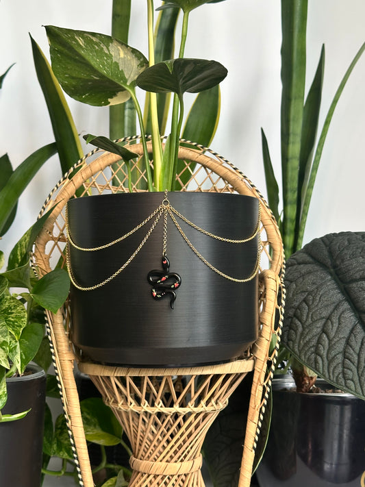 Black Rose Snake